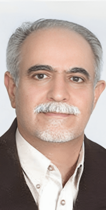 سید ابوالحسن امامی