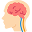 Brain and internal nerves