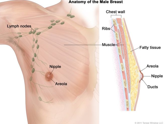 علاج سرطان الثدي