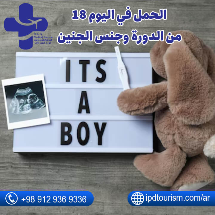 الحمل في اليوم 18 من الدورة وجنس الجنين