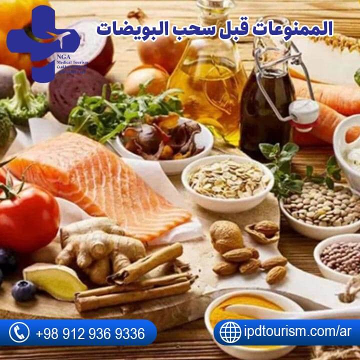 عملية سحب البويضات-4