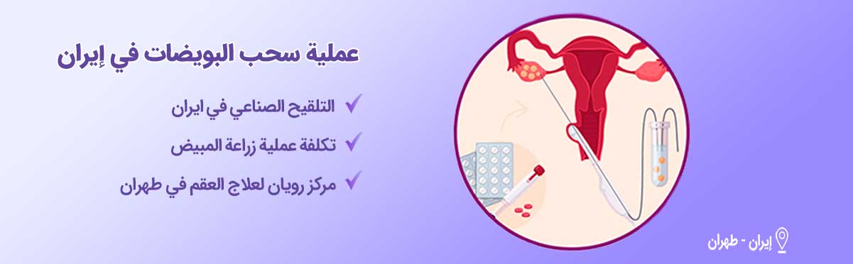 عملية سحب البويضات-شاخص