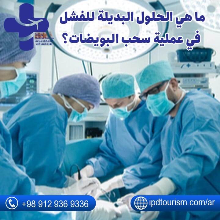 عملية سحب البويضات-10