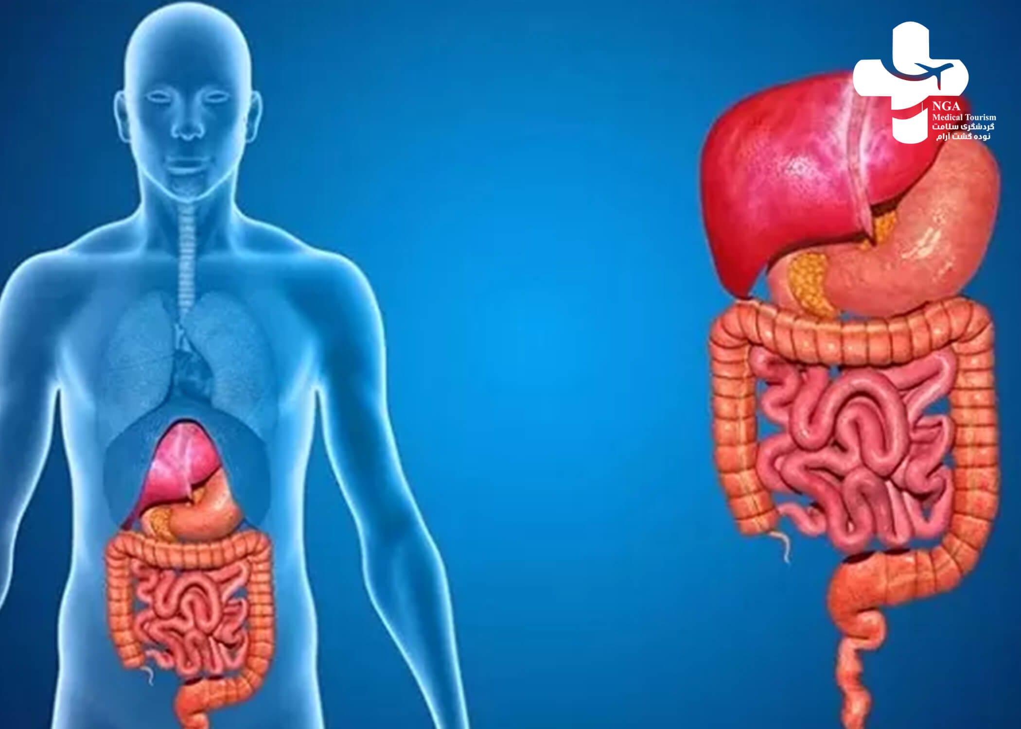 مستشفى الجهاز الهضمي-6