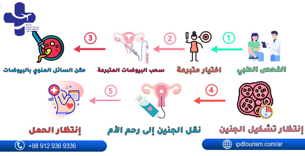 كم يكلف التبرع بالبويضات في إيران؟