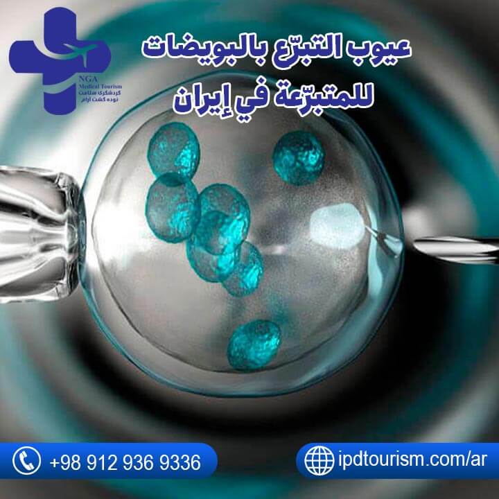 التبرّع بالبويضات في إيران-9
