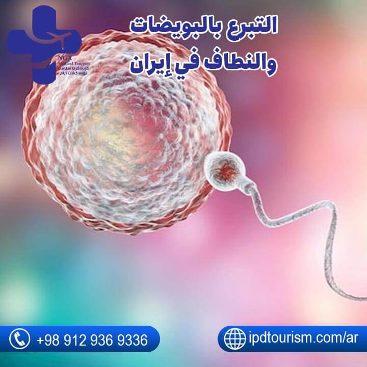 التبرّع بالبويضات في إيران-2
