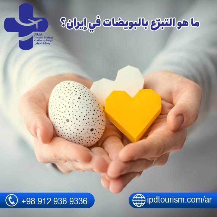 التبرّع بالبويضات في إيران-1