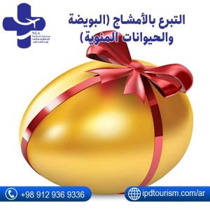 التبرع بالأمشاج (البويضة والحيوانات المنوية)