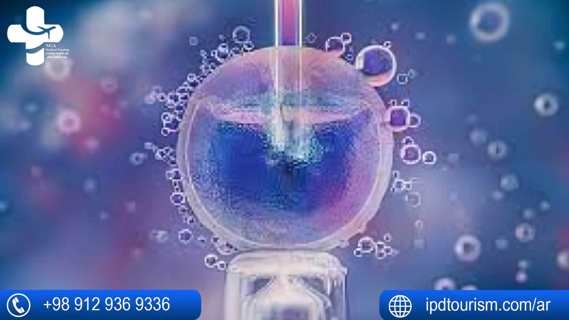 پیش‌نمایش ویدیو