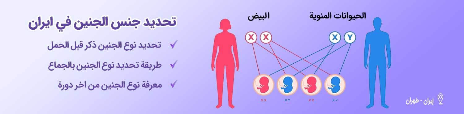 تحدید جنس الجنين-شاخص