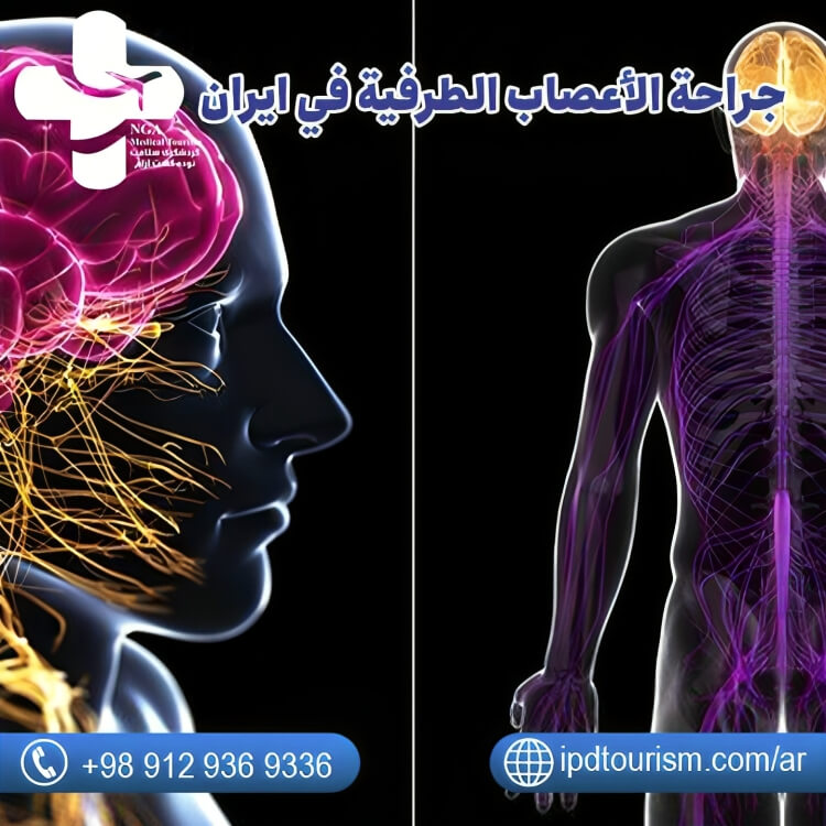 جراحة الأعصاب-2