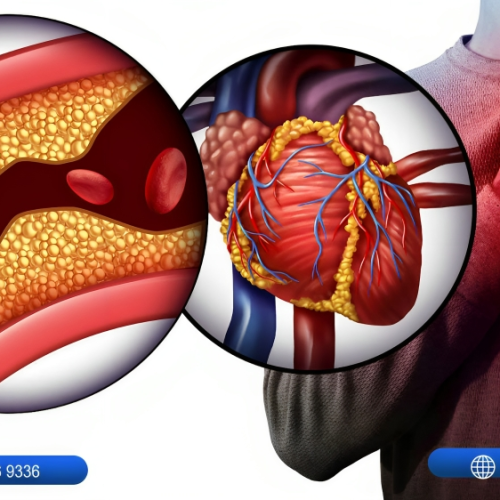 حول أمراض صمامات القلب الخلقية في إيران / طهران