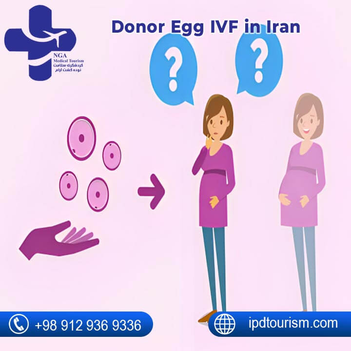 Donor Egg IVF in Iran