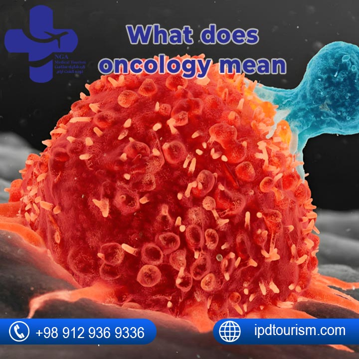 What does Oncology mean?