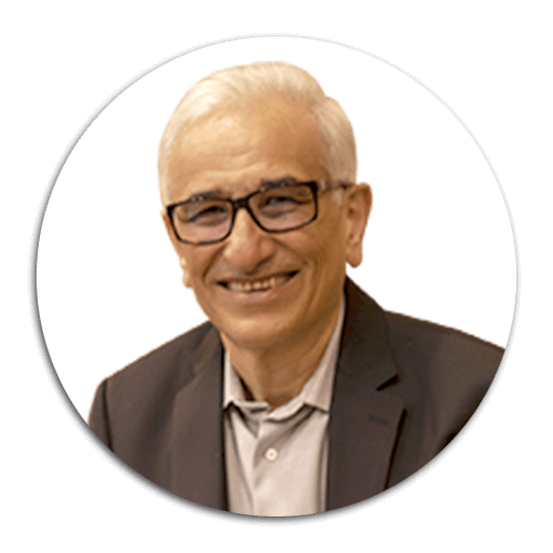 Professor-Mohammad-Hossein-Mandegar