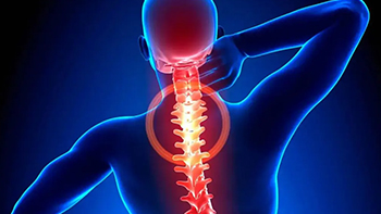 Spinal cord injury in iran