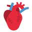 Heart and cardiac surgery in Iran