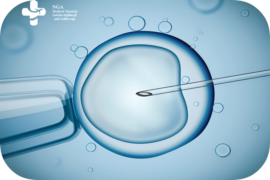 What are the risks of IVF?