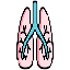 Lung and respiratory system