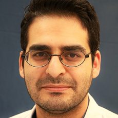 Dr Mohamad Reza Firozifar