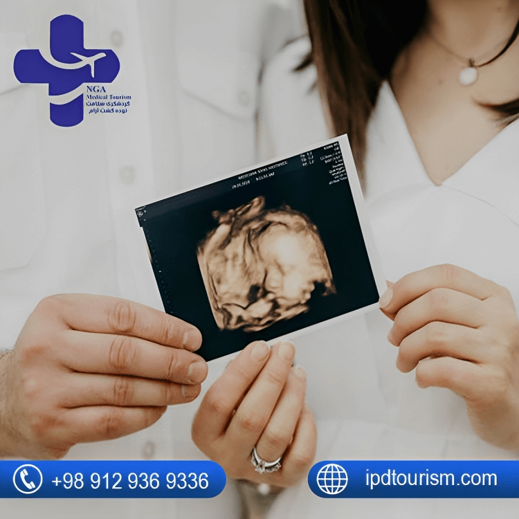 What is the process of egg donation in Iran like?