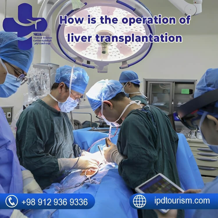 How is the operation of liver transplantation?