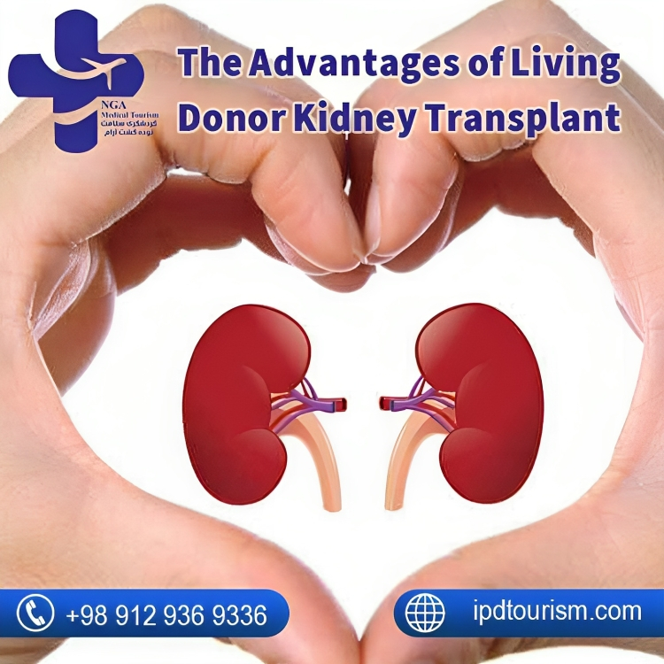 The Advantages of Living Donor Kidney Transplant