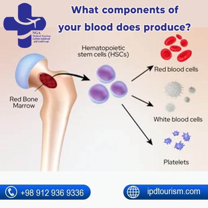 Bone marrow Transplant in Iran-1